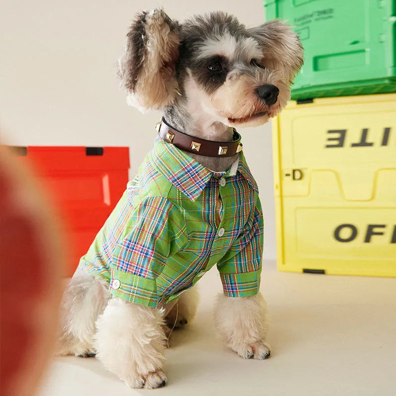 Fruit green casual cotton pet shirt for small medium dogs cats, side view