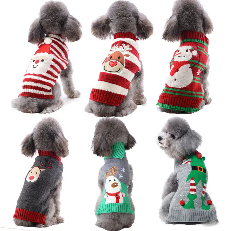 Small grey dog wearing a black Christmas sweater with white pompom and reindeer pattern