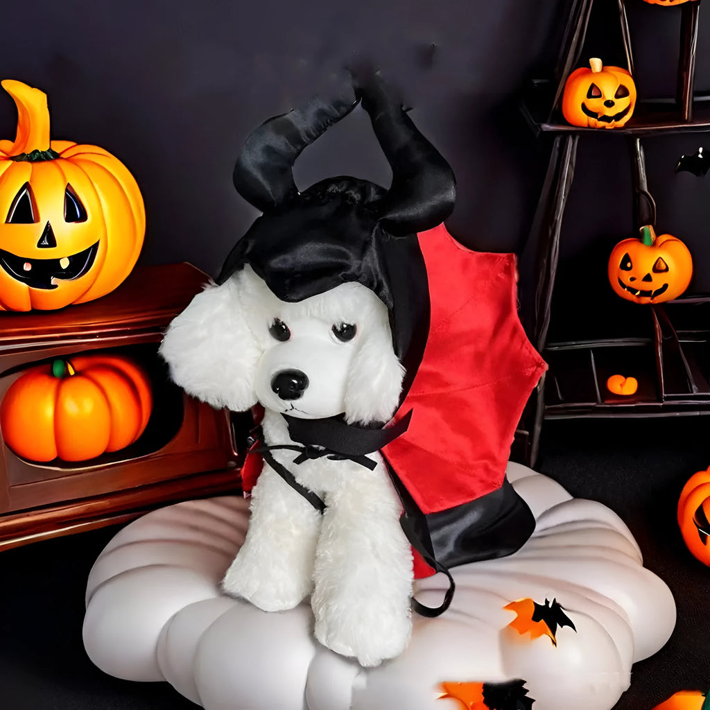 Halloween pet costume with bat-wing cloak and pointed hat on small dog