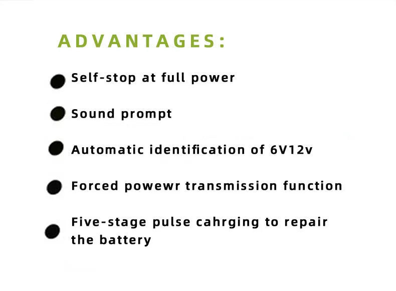 BT 168 model 12V and 24V car battery charger with American plug for lead acid batteries