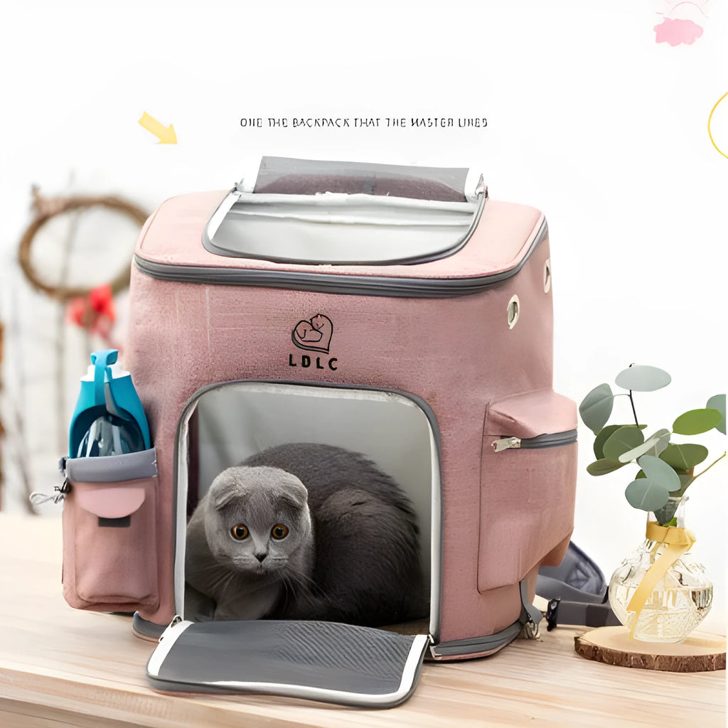 Transparent portable cat backpack pet bag in Oxford cloth with mesh windows and padded straps for small pets under 20 kg