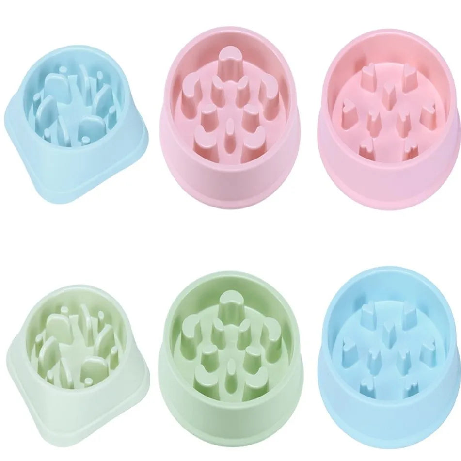 Plastic anti choking slow feeding puzzle pet bowl in blue, green, and pink colour options