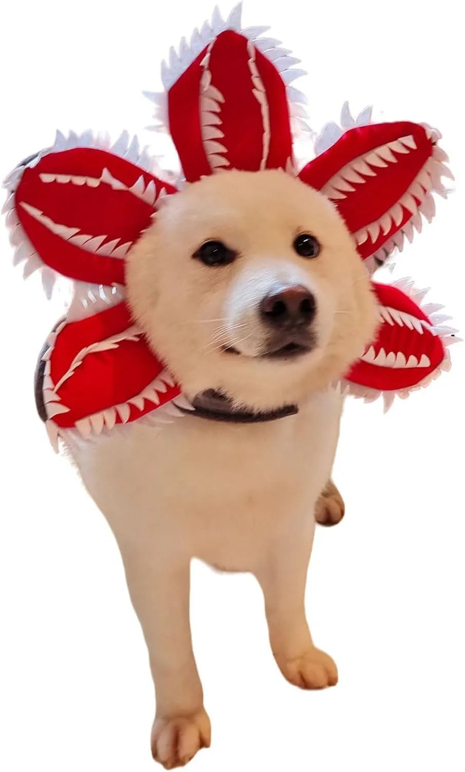 Medium dog demon horn costume headband with black plastic horns and red flower for Halloween