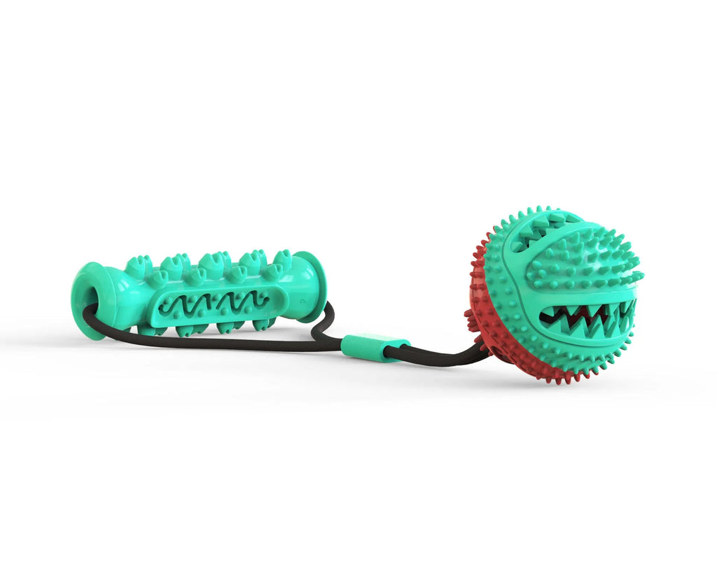 Pet toy pull rope training ball with 8.5cm diameter ball and 12cm molar stick on grass