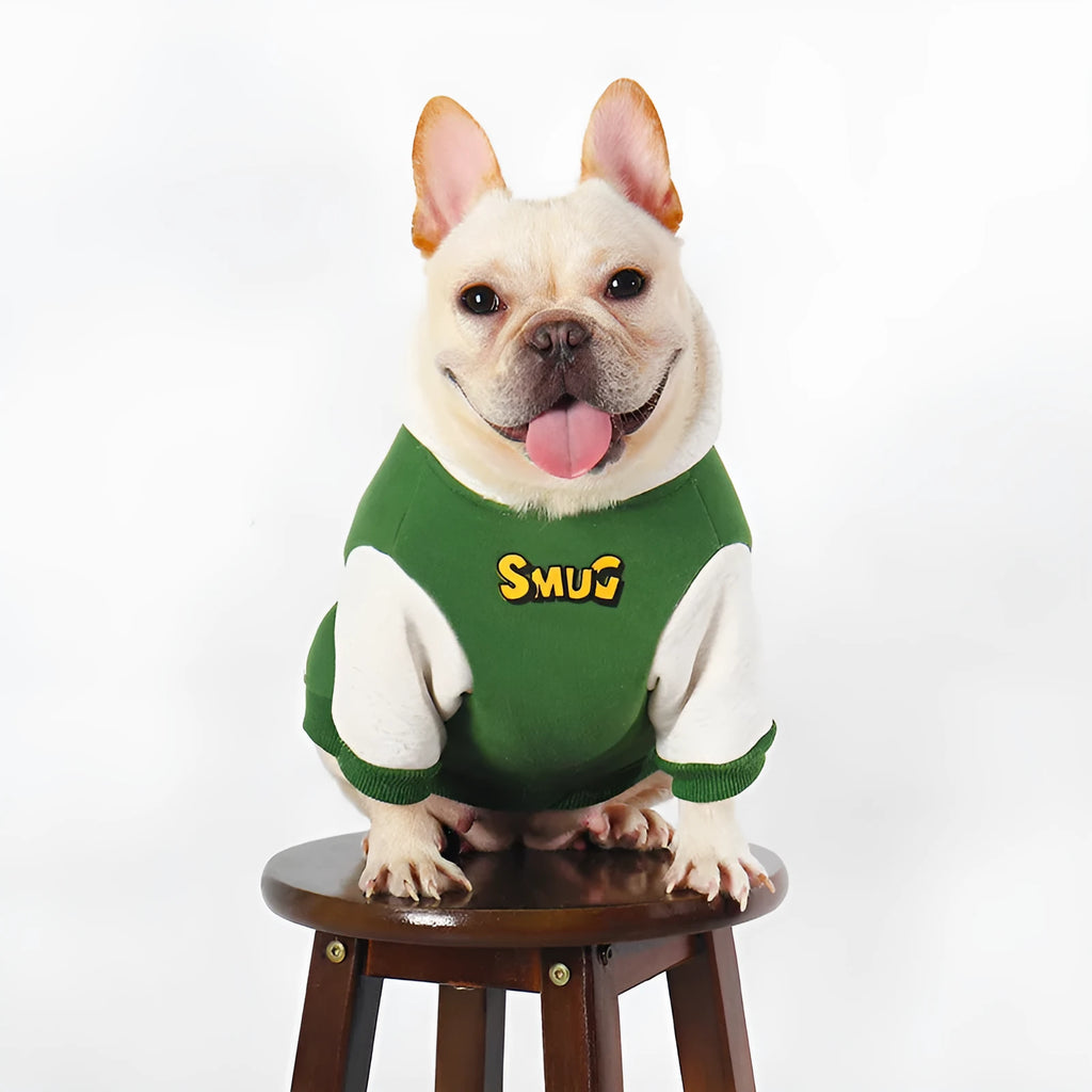 Green cotton dog coat for autumn and winter, sizes L to 4XL