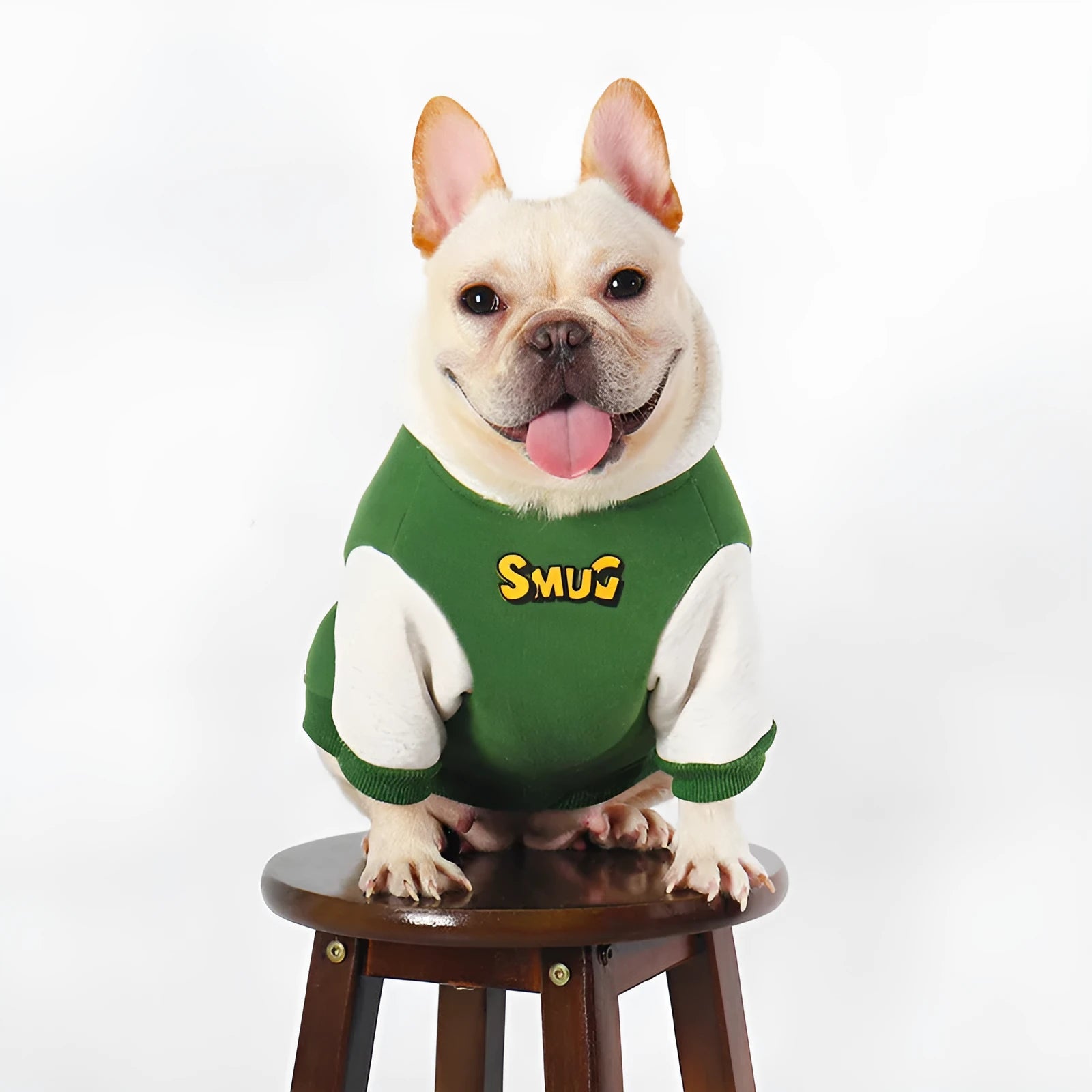 Green cotton dog coat for autumn and winter, sizes L to 4XL