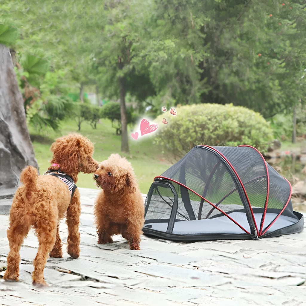 Folding cloth cat tent with half-mesh panels shown in blue colour option