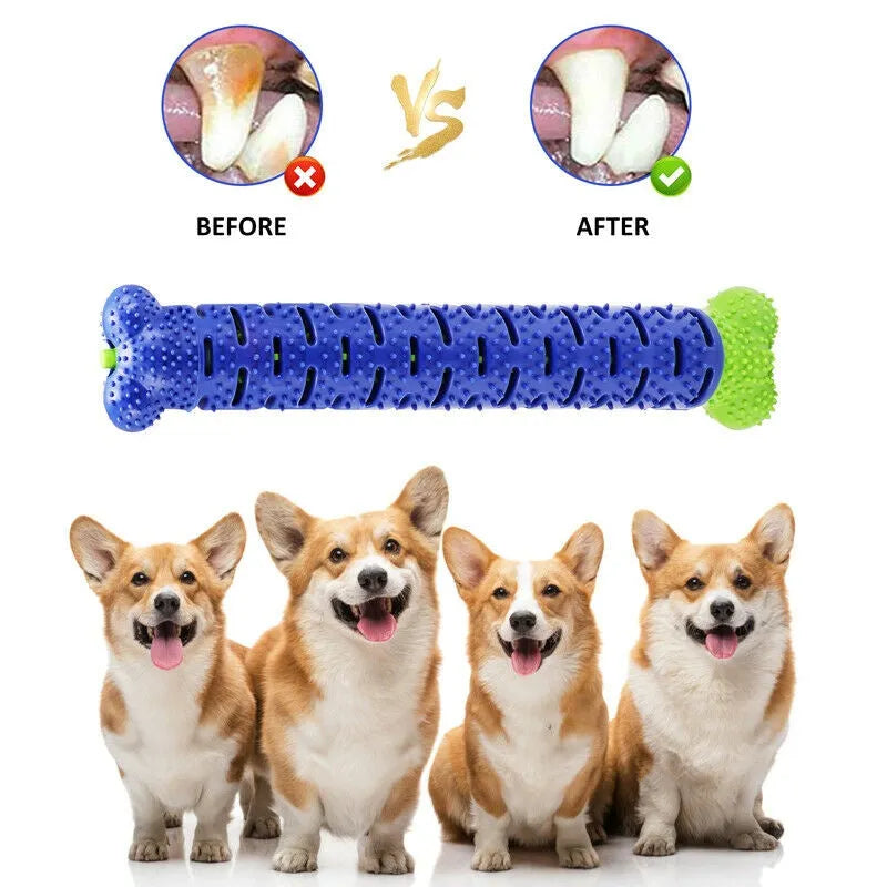 Blue and green rubber dog toothbrush chew toy with treat dispenser, 25cm bone shape