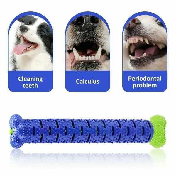 Blue and green rubber dog toothbrush chew toy with treat dispenser, 25cm bone shape