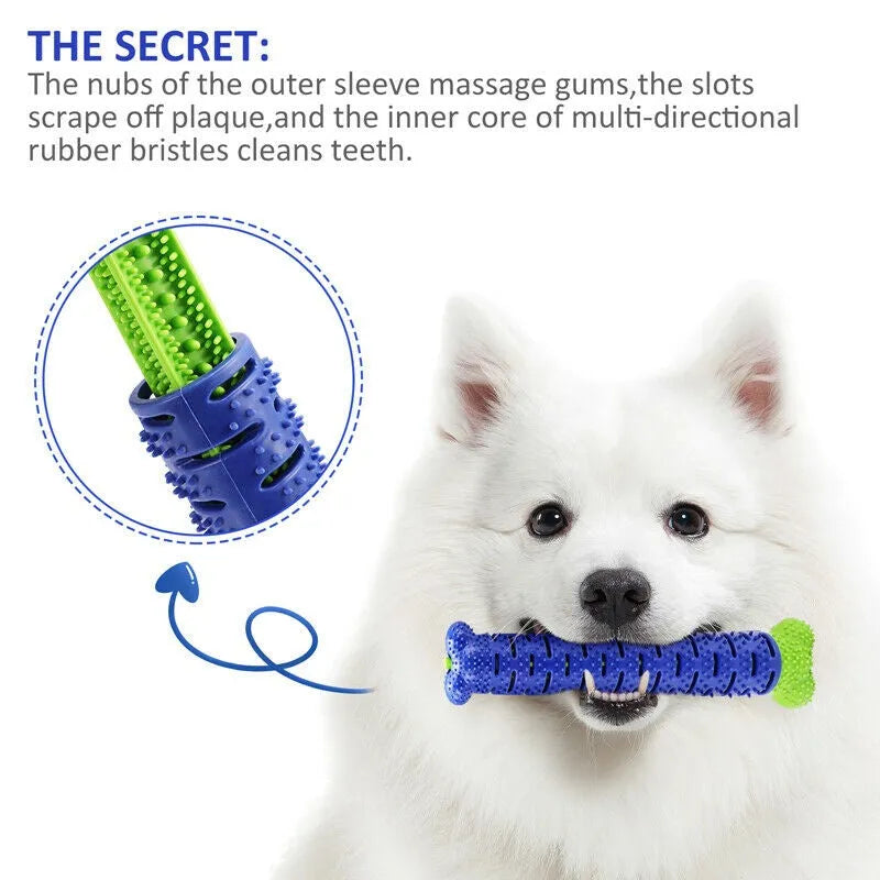 Blue and green rubber dog toothbrush chew toy with treat dispenser, 25cm bone shape