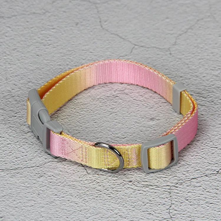 Gradient colour nylon dog leash showing pink-blue pattern with collar attachment