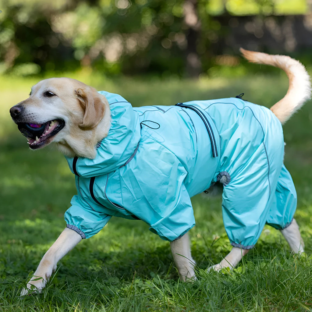 Red polyester dog shell jacket with cotton-padded insulation on a medium-sized dog outdoors