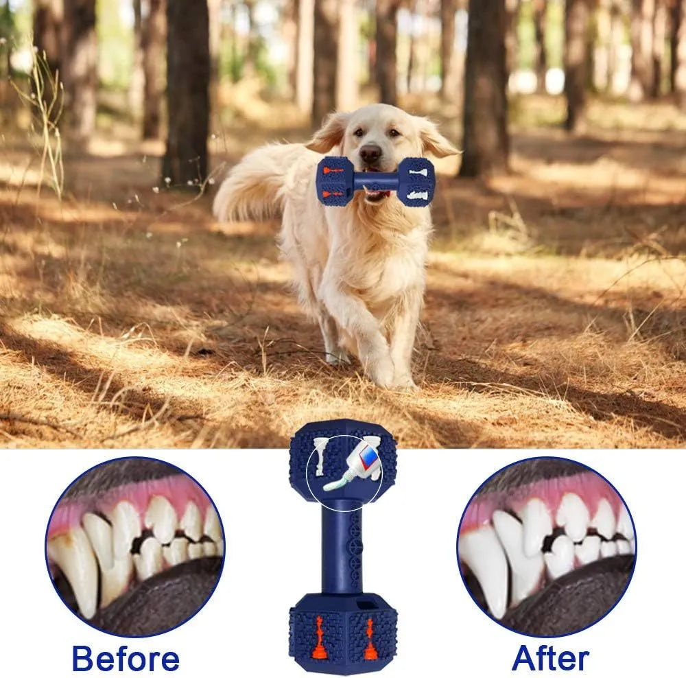 Black and blue durable rubber dumbbell dog chew toy with textured surface for aggressive chewers.