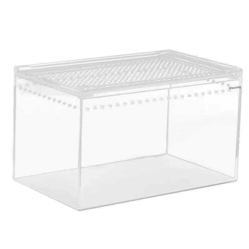 Transparent acrylic reptile feeding box showing PC construction and size options