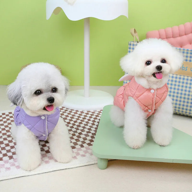 Small dog wearing pink cotton-thickened polyester skirt with cute angel design