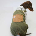 Thin corduroy four-leg pet pants for small dogs in green black white stripes on a light background