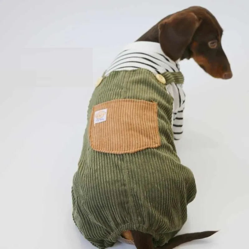 Thin corduroy four-leg pet pants for small dogs in green black white stripes on a light background
