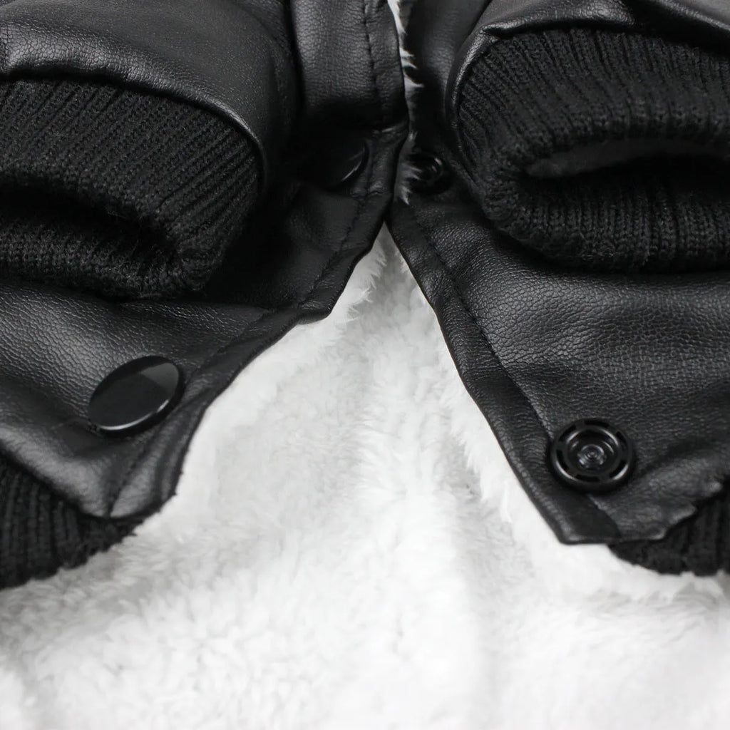 British-style leather dog coat with fur collar in black colour shown on medium-sized dog