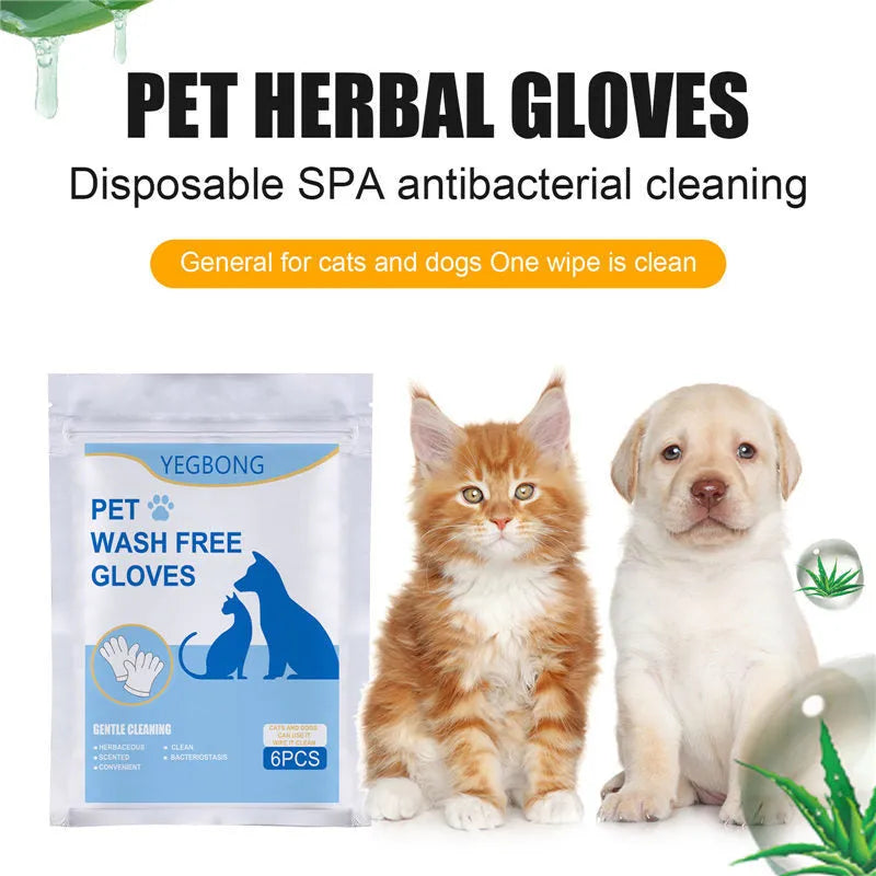 Pack of 6 pet disposable non-woven foil gloves for cat grooming without a bath