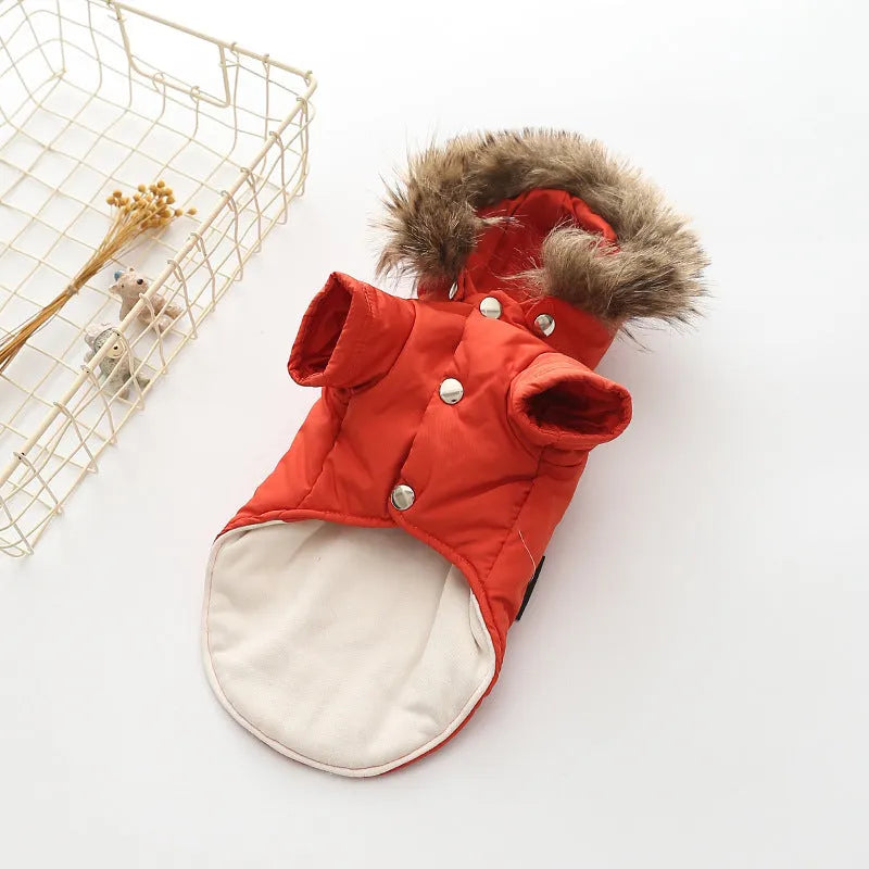 Hooded cotton coat for dogs in beige, shown on a dog with a hood up for coverage