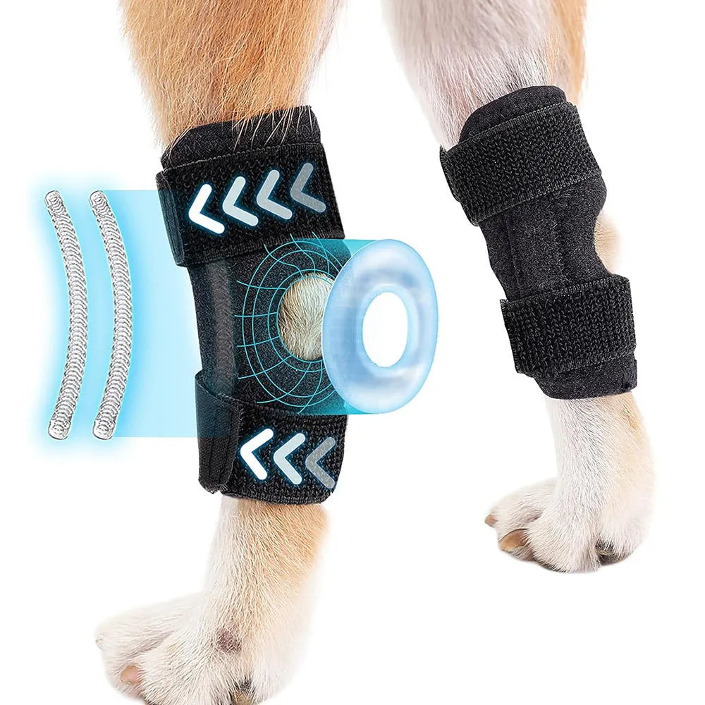Black neoprene dog rear leg auxiliary strap with Velcro fasteners on white background