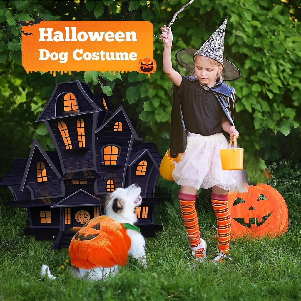 Orange pumpkin plush Halloween costume on small dog with pullover design and thickened shape