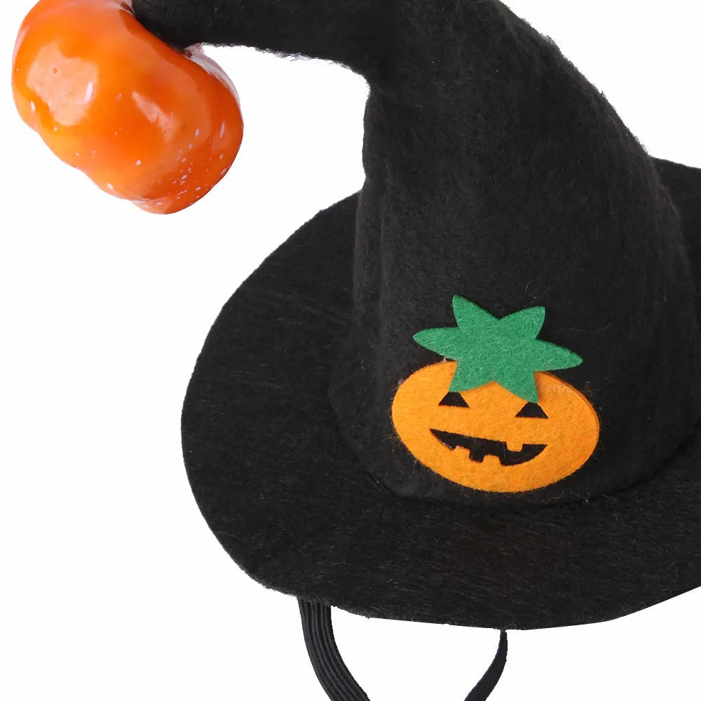 Pet cat wearing Halloween pumpkin hat costume with embossed cloth design
