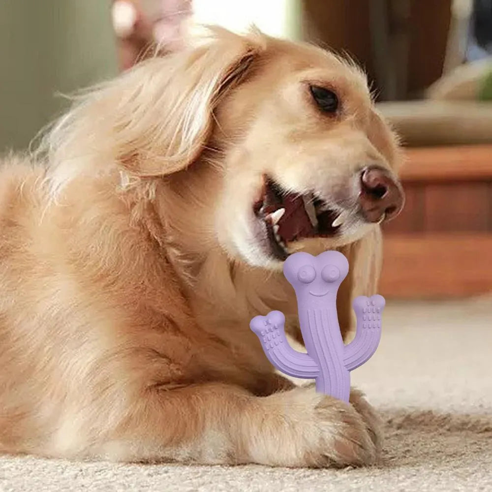 Beige, blue, and purple cactus-shaped dog chew toy made from bamboo fibre and rubber on a white background.