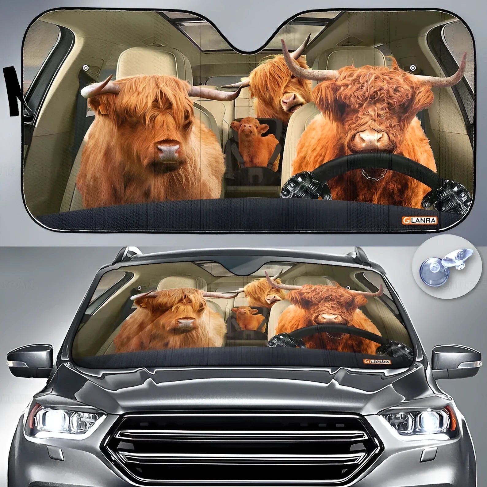 Telescopic aluminium foil car sun shield extended on a vehicle windscreen