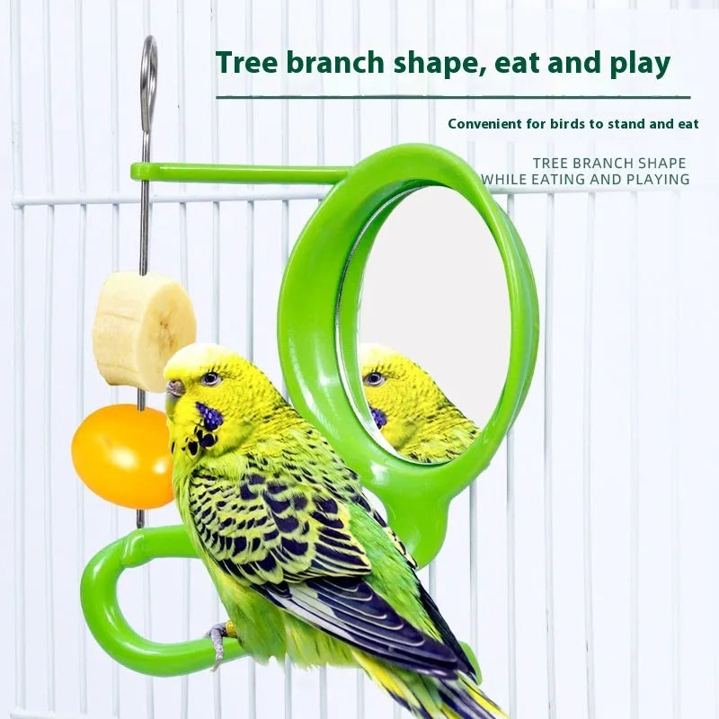 Plastic solid colour parrot feeder for birds with green squid skeleton specification option