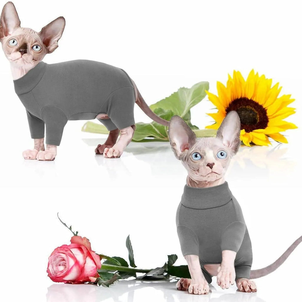 Grey sphynx cat wearing soft turtleneck sweater with two leg openings for winter warmth