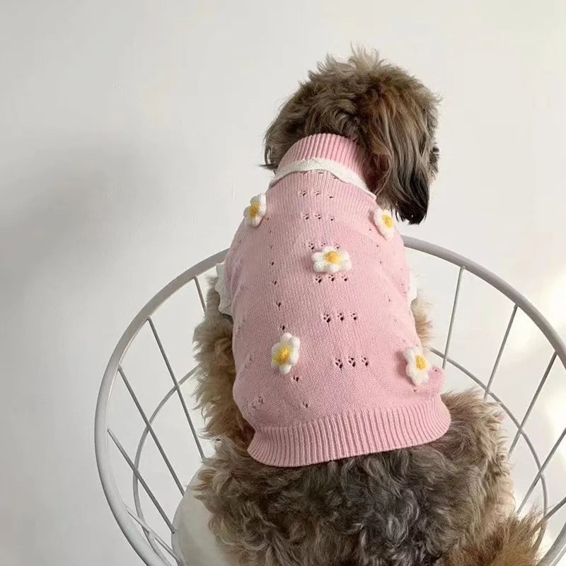 Green and pink blossom flower patterned sweater for a small dog on a sofa.
