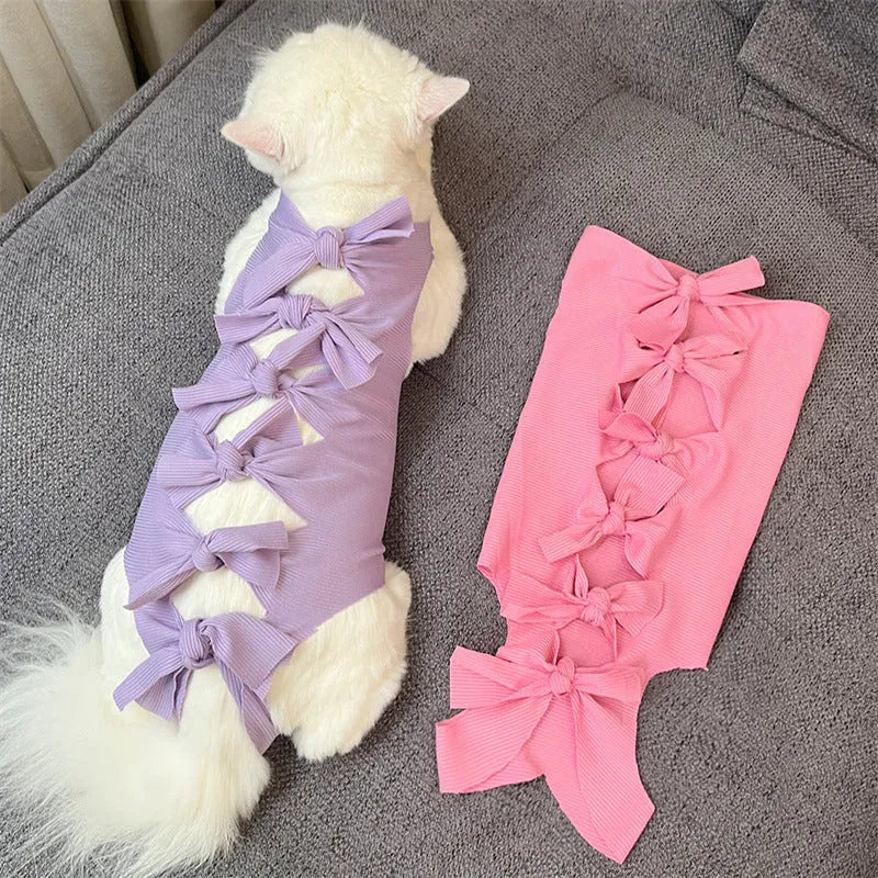 Blue lace-up cat recovery suit on a tabby cat, showing the adjustable back closure and full-body coverage.