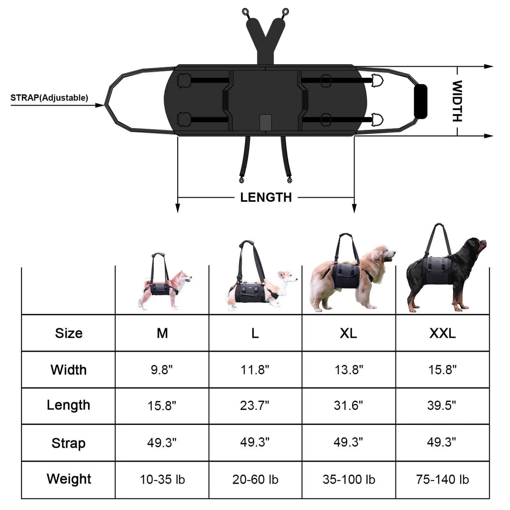 Black Oxford cloth dog rehabilitation harness with adjustable chest strap for leg support