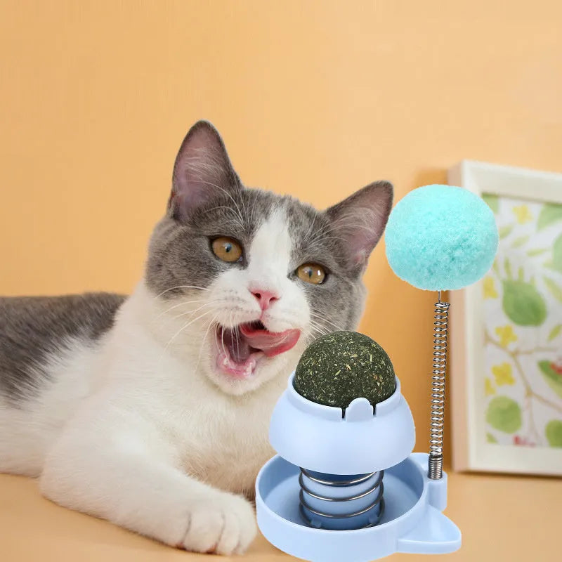 Lucky cat mint ball toy with self-hi feature in blue, orange, and pink colours for cats.