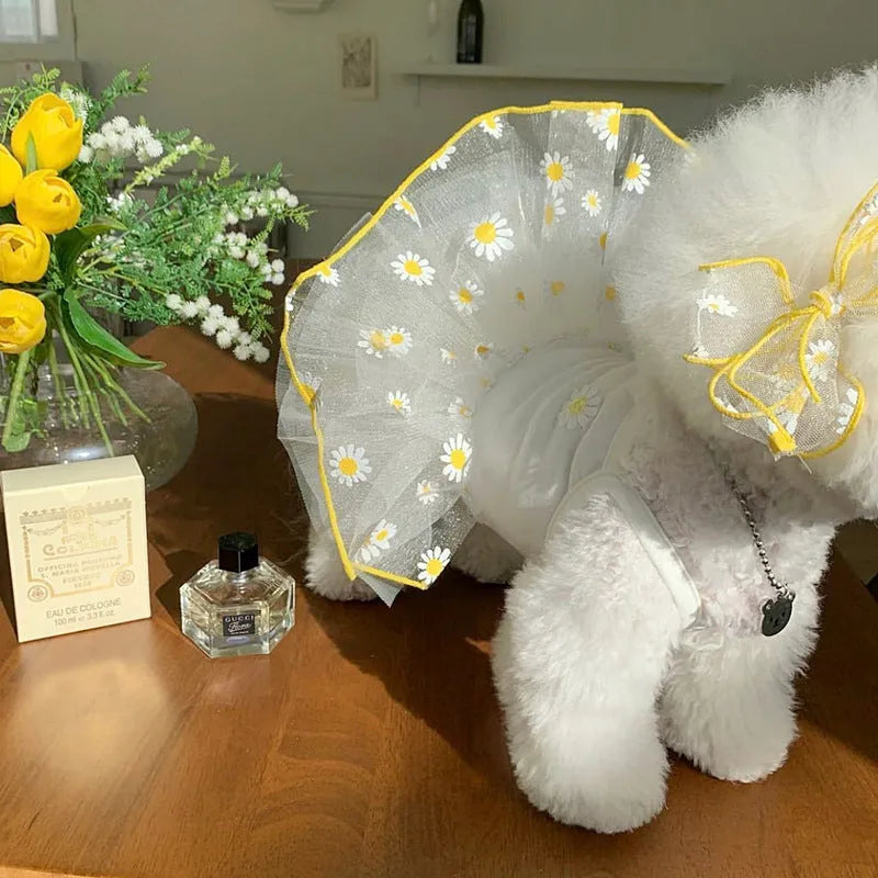 Yellow daisy print polyester dog summer clothes available in five sizes