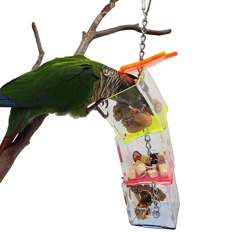Clear acrylic parrot foraging toy measuring 5x5x32cm for bird food enrichment