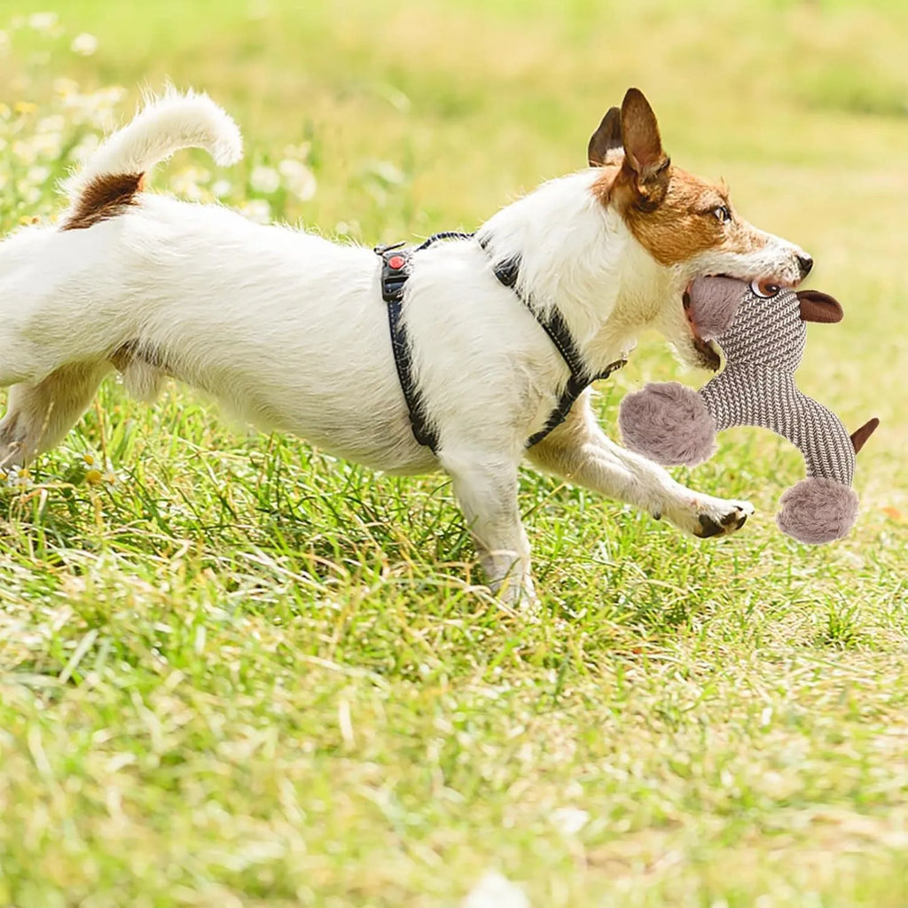 Monkey and puppy design plush dog toys with squeakers for large dogs
