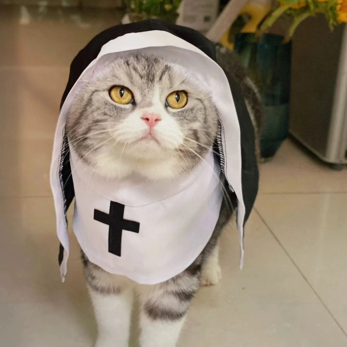 Black and white nun costume for small medium dogs with cloak design