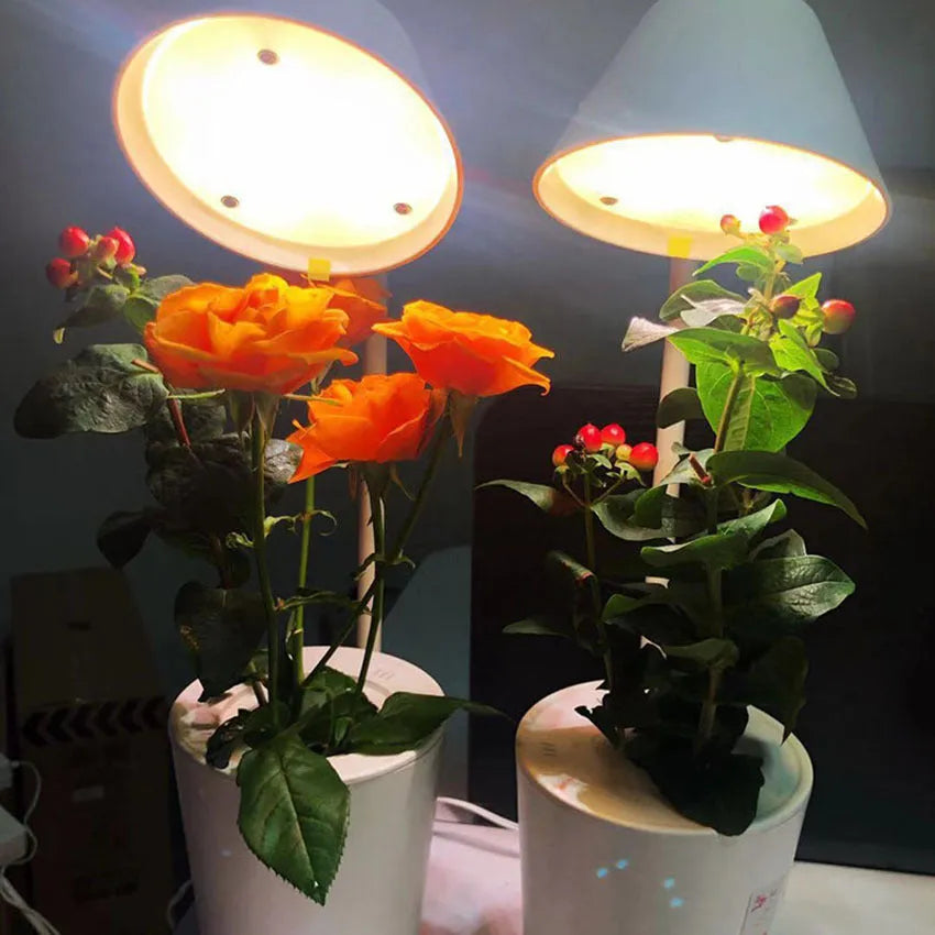 White plastic desktop hydroponic growing system for soilless indoor plant cultivation.