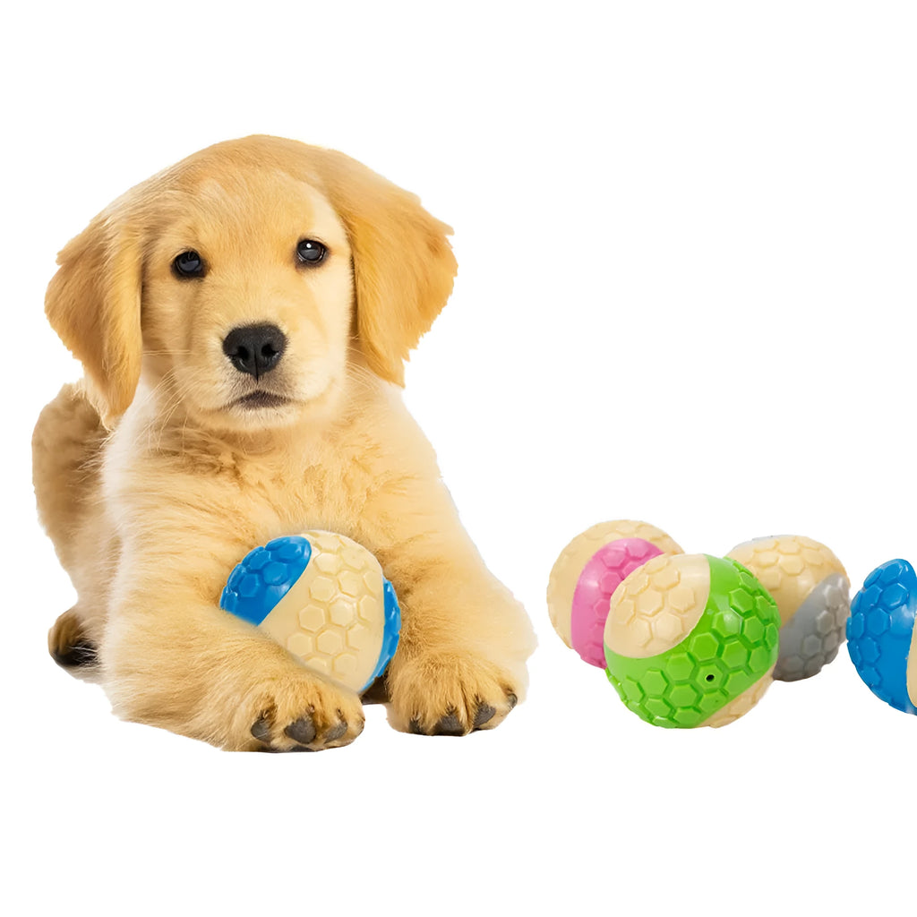 TPR plaid molar dog toy ball in blue, pink, green, and grey colours with textured surface