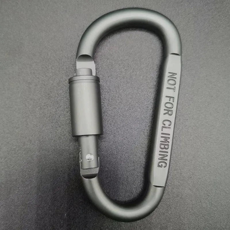 Silver D-shaped aluminium locking carabiner on a grey background.