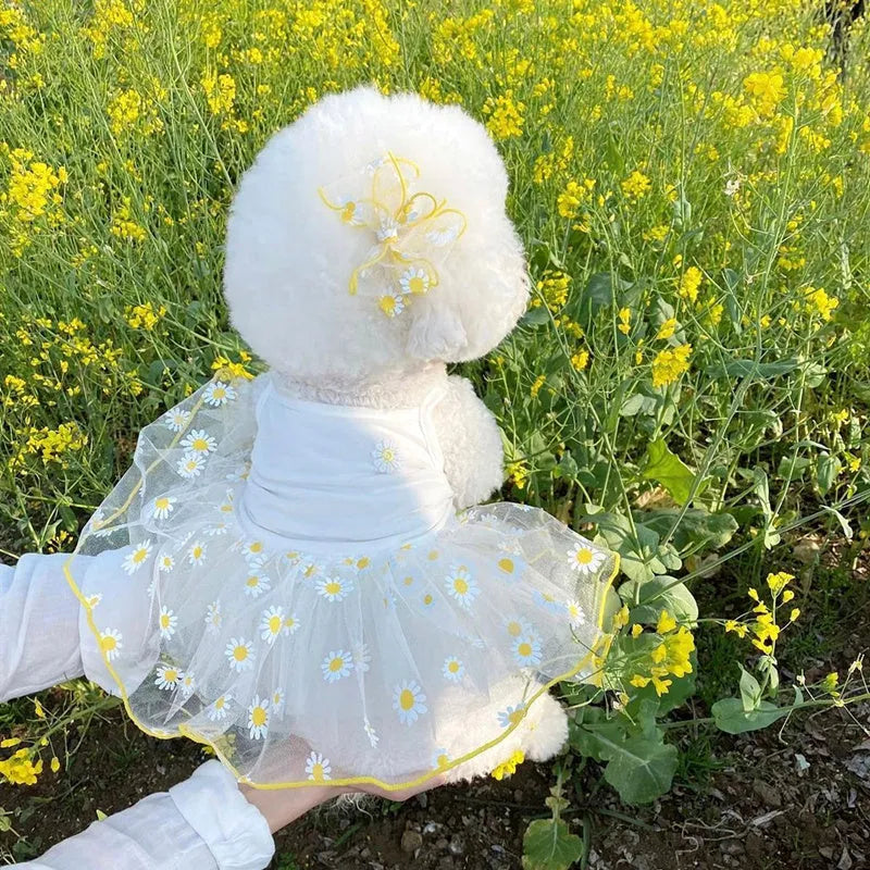Yellow daisy print polyester dog summer clothes available in five sizes