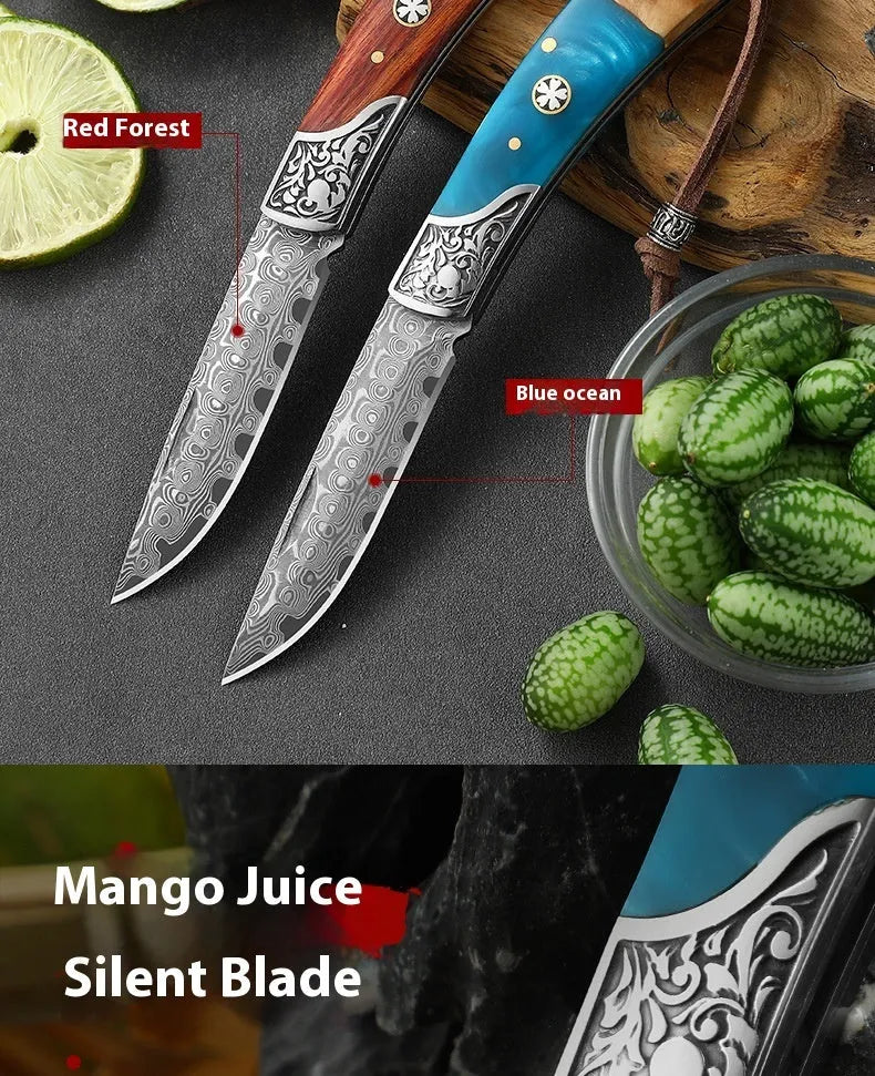 VG10 folding portable mini outdoor knife showing stainless steel blade and handmade national style construction