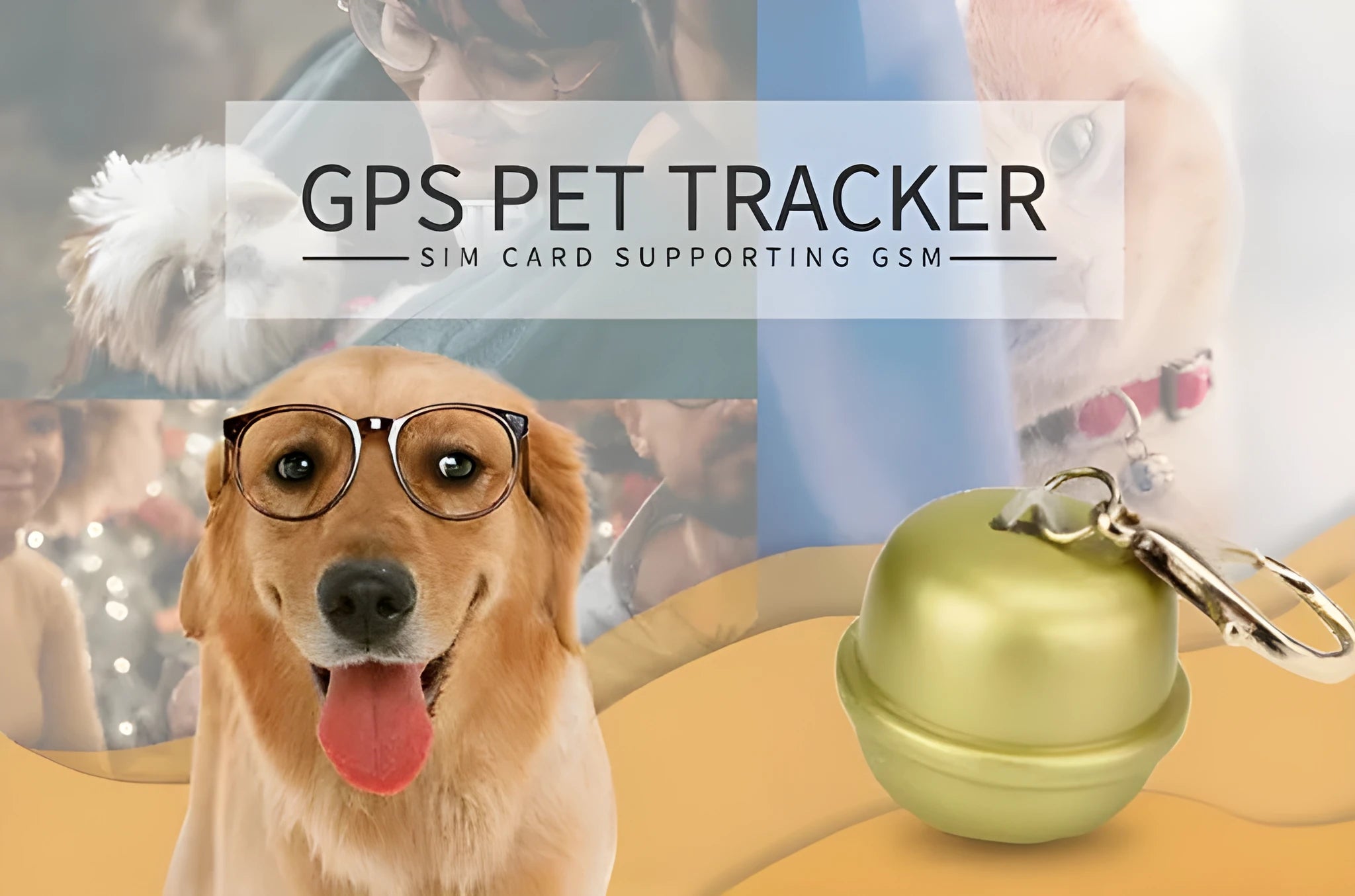 A black GPS dog collar unit attached to an adjustable nylon strap, showing the tracking device and buckle.