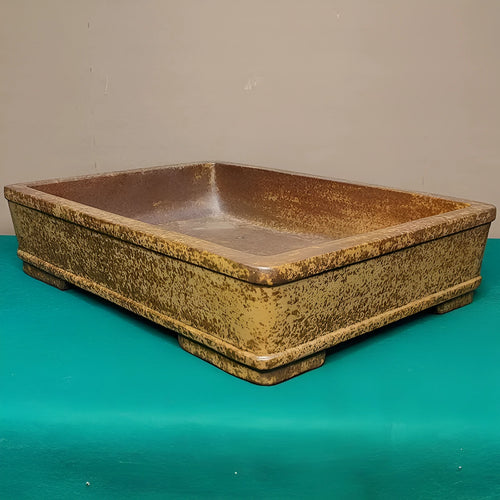 Straight-sided shallow rectangular Yixing purple Zisha clay flowerpot on a wooden surface.