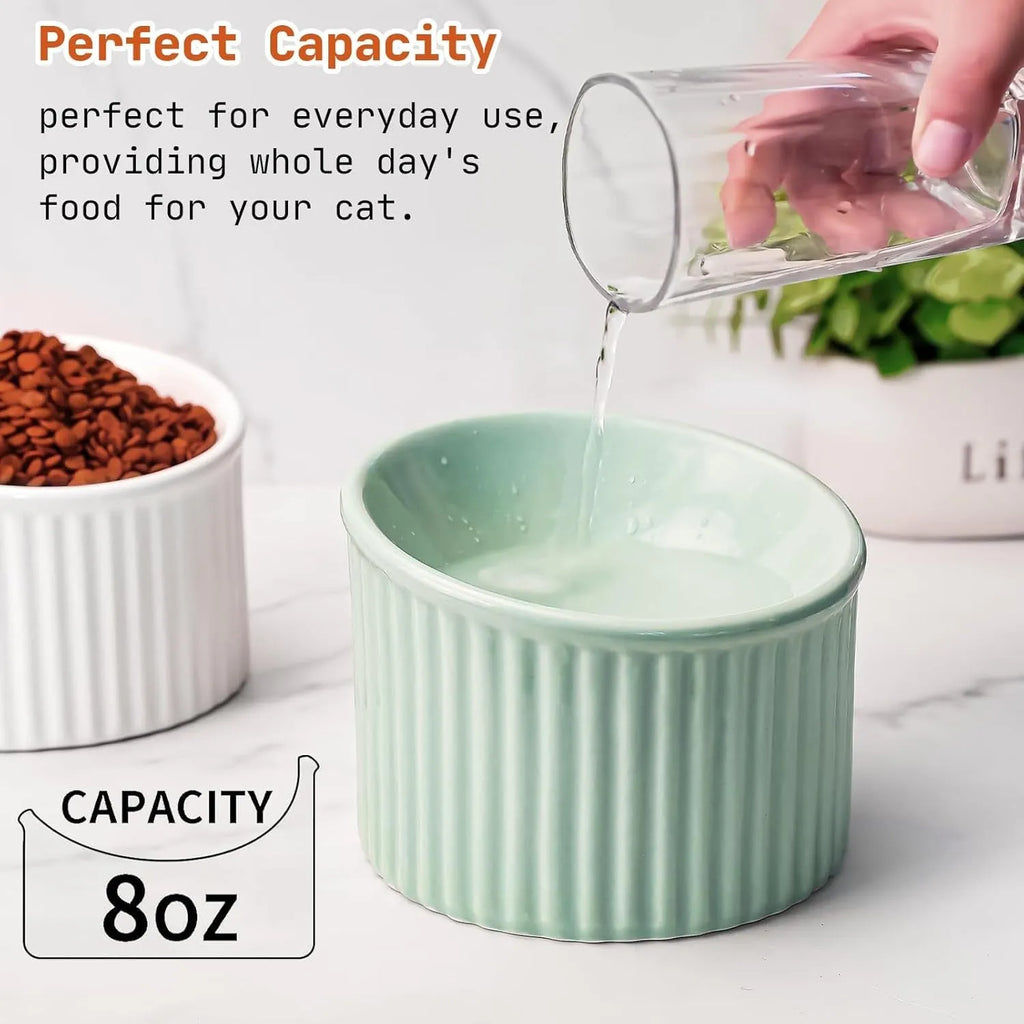 Ceramic elevated cat food bowl in green, showing tilted round dish on a raised stand.
