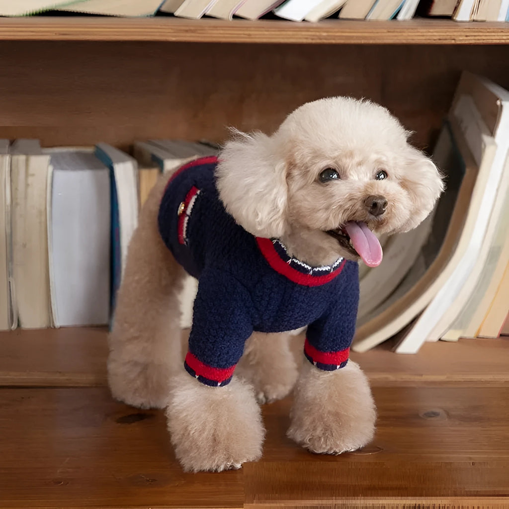 Blue Bejirog wool sweater cardigan for pets in classic princess style on mannequin