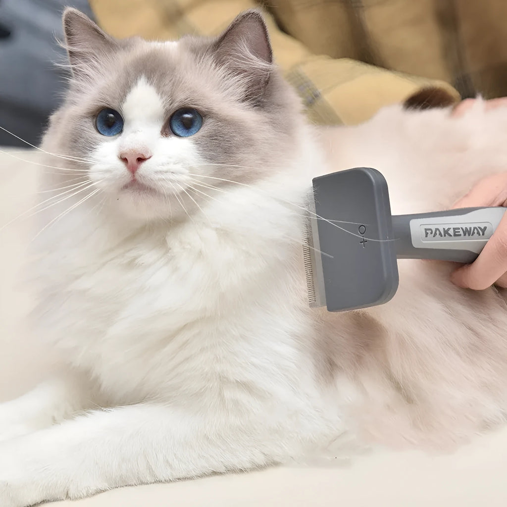Grey plastic pet comb for cats and dogs, general grooming brush for detangling and deshedding