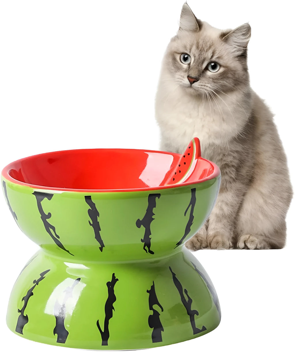 Ceramic raised cat feeding bowl with tilted design in orange colour pattern